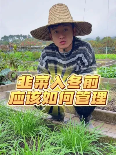 ²붬ǰ #ݪֲС #ֲ #²ݪֲ #עһѧֲ #ͥݪֲ