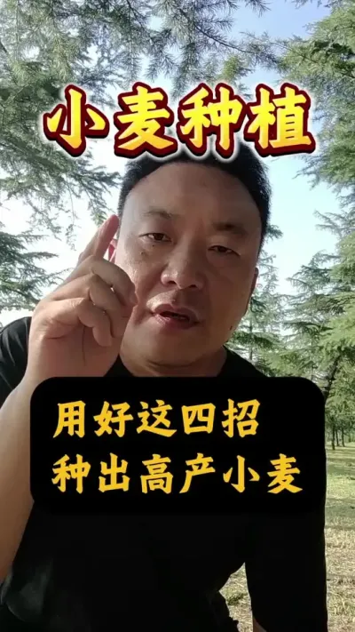 ֳ߲С#Сݪֲ #С #С