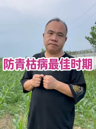 ݲʱ ƫ粥ѡԺõƷ֡׷лϷǷݲ֮ѧڰνڣ#ũҵݪֲ