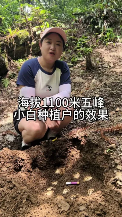 ����1100��С��ݪֲ����Ч�� #��ũ #ݪֲ���� #���շ��� @����С����