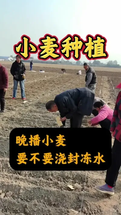 С費Ҫⶳˮ#Сݪֲ #Сˮ