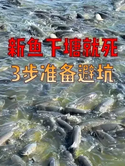 ʵ 3 ׼ٿ׬#  #  #ˮֳ  #Դ #޿