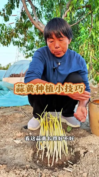 ݪֲС#ũ #ݪֲ #߲ #ݪֲС #߲ݪֲ @DOU+С @С @DOU+