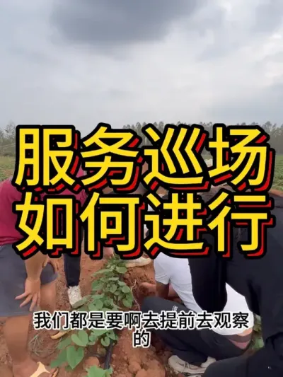 ũѲ#ũҵݪֲ #ݪֲ #ݪֲ #ڵʩ #