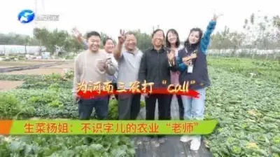 不识字的百万网红：@生菜杨姐 土里头讨食吃，不下功夫是肯定不行的！生菜杨姐的菜，为啥种的这么好？都有啥秘诀？咱一块儿来学学。#三农 #拍摄现场 #新农人计划 #大象跑三农一心为群众 #抖音助农
