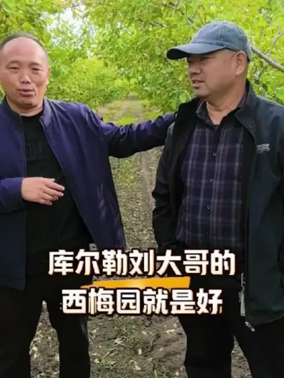 ÷԰Ǻ#ũ #ũշͬ #÷ݪֲ#