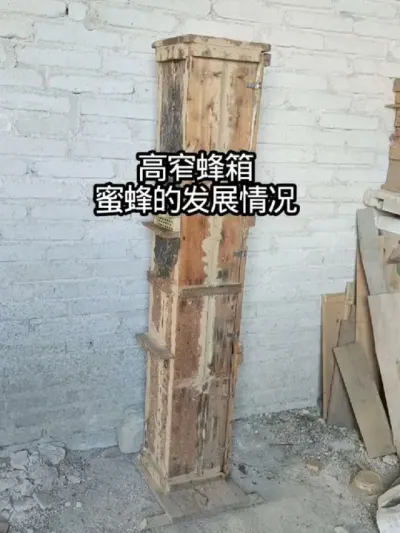 խ խ۷#۷ֳ #ũ #ҵ