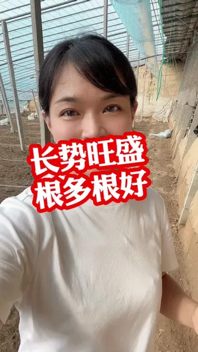 ##ݪֲ #¼ҵݪֲ #ԴƸ # СƳµ@С