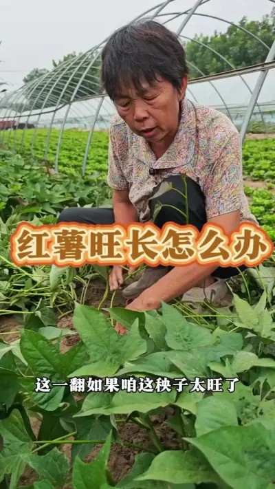 ô# #ݪֲ #ũ #ݪֲС #߲ @С @DOU+С @DOU+