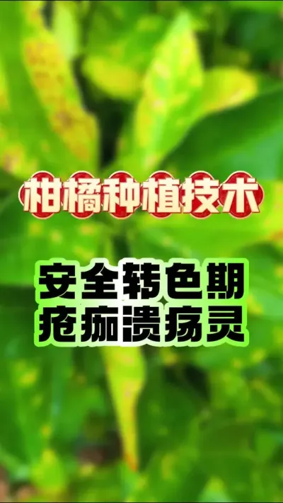 תɫô徲˹#ݪֲ #ٹ # #תɫ