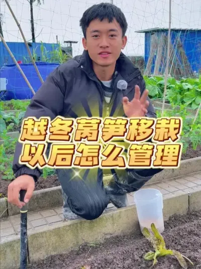 ԽݫԺô #ݪֲС #ֲ #עһѧֲ #ݫ #ͥݪֲ