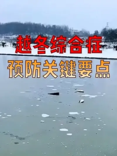 Խۺ֢Ԥ4 ҪҪ徲Խ#  #  #ˮֳ  #Դ #޿