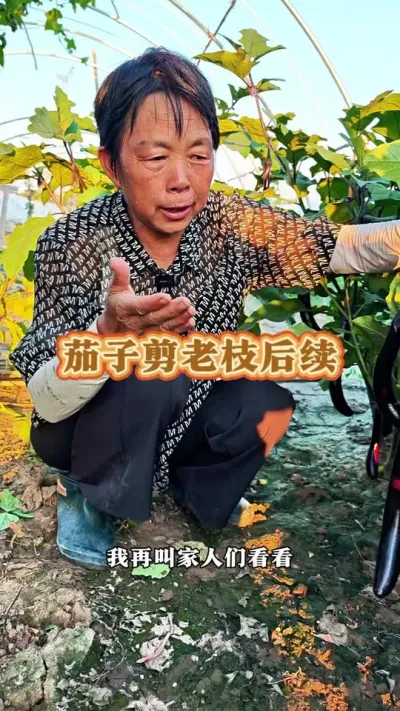 Ӽ֦ԺӿడĽ#ũ # #߲ #߲ݪֲ #ݪֲС @С @DOU+С @DOU+