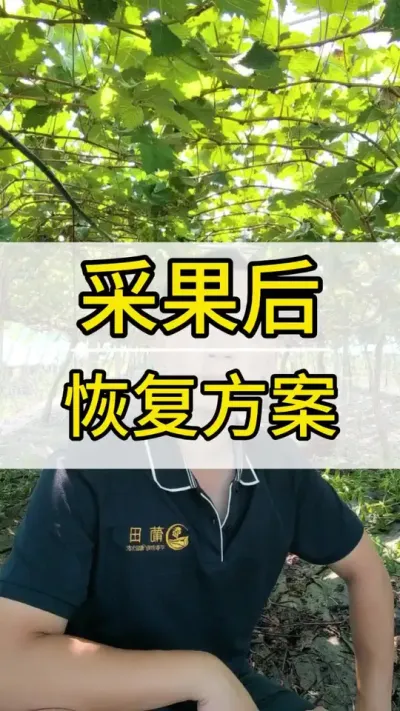 ɹӷʼƻ #ݪֲ #ũݪֲ #ӷ #õݪֲ #ݪֲ