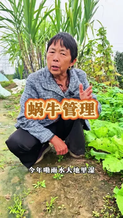 ţҪʵʱҪȻǵĲ˶#ũ #ţ #߲ #ݪֲС @С @DOU+ @DOU+С