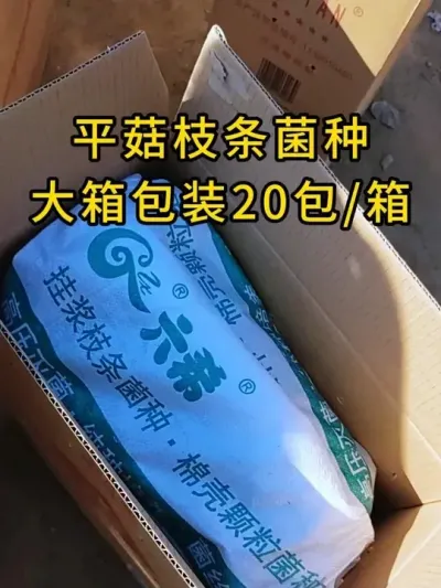 650֦ҽװ#ƽݪֲ #ƽ #ʳþݪֲ #ݪֲ