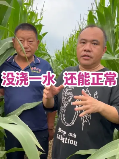 ûһˮ  7  14 չܳ 25 ——һСݼڶ׷лʱˮʹÿƷϵͳʩлطϺõάЩ