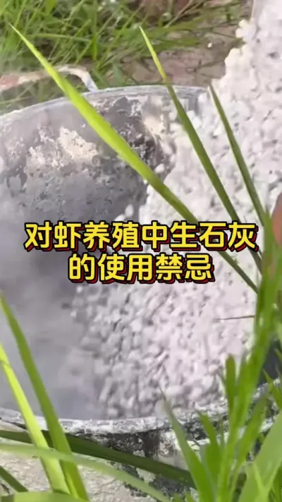 #ĶϺ#οˮ#ο#׶Ϻֳ