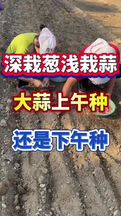 ָ߲#ݪֲ #߲ #ⲡ #ݪֲ