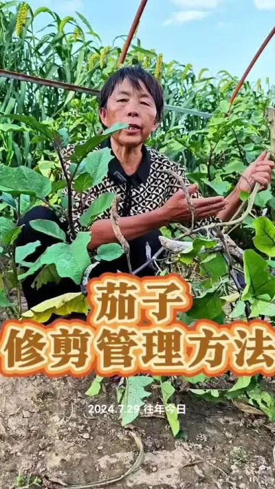 Ӽ֦֦ԺгԲ#ũ # #߲ #ݪֲС #߲ݪֲ @DOU+С @С @DOU+