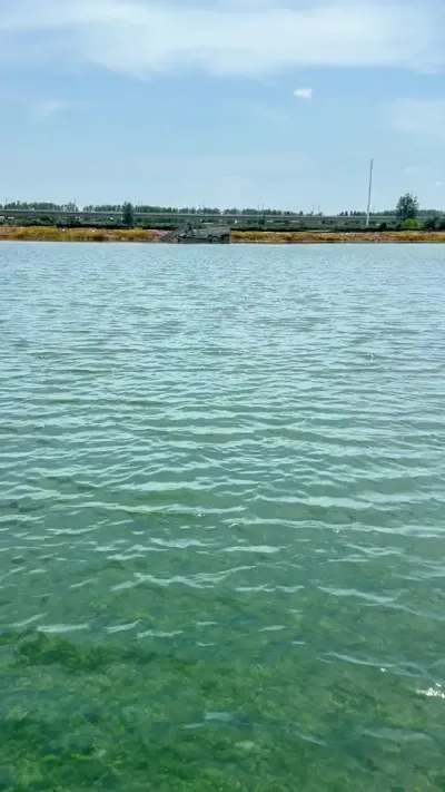 #κֳ #Ϻзֳ #ˮֳ #ˮ#ũ