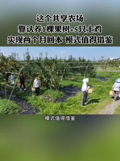 ���ũ����&ldquo;����1�ù���+5ֻ����&rdquo;�Ĺ���ģʽ��ʵ�������»ر��������볬�������淨ֵ�ý����#����ũ�� #ũׯ #����ũҵ #ũ�� #��ũ��