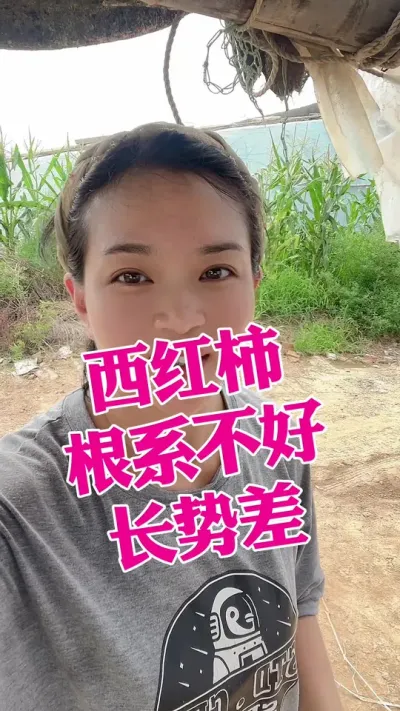 #ݪֲ#ݪֲ#徫 # ע @С