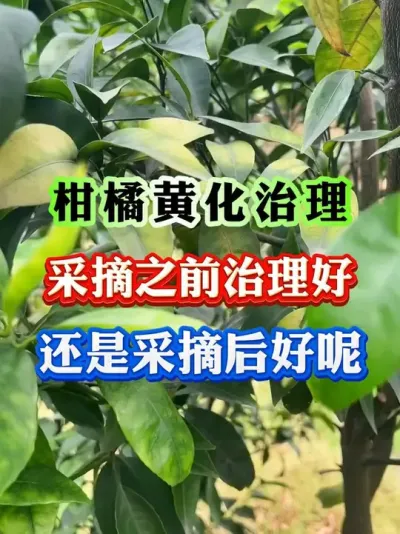 ٲժƻ#ƻ #ƻ #ݪֲ #