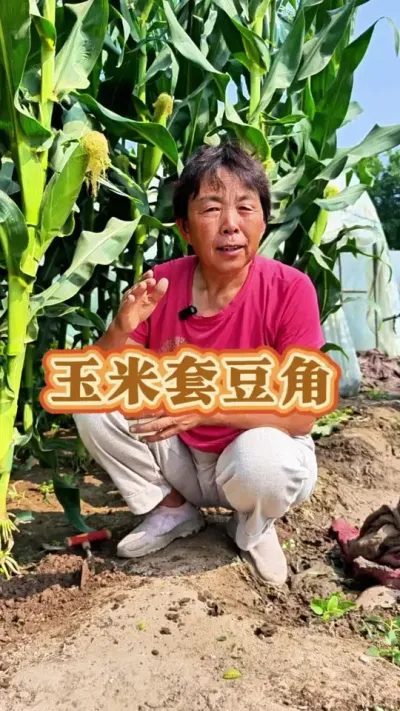 ��ͥݪֲ���׵����׶������ֹ������Ƚ�Լ�˵��ֽ�Լ�˼ܲ�����æ��������#��ũ #�������ֶ��� #�߲�����##ݪֲС���� #��ע��һ��ѧ�ֲ� @DOU+������ @��������С���� @DOU+С����