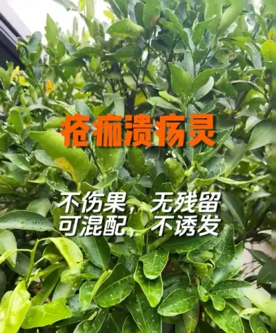 ٴ衢꼾ôܸõķ#ݪֲ #ٹ # #ũҵݪֲ #ũ