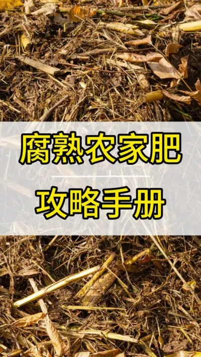 如何自己腐熟农家肥 #葡萄种植技术 #新农人计划2022 #阳光玫瑰葡萄 #抖音助农 #三农