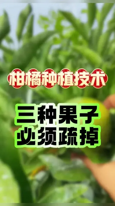 #dou עأֹӱ #ݪֲ #ũ #԰ #ũ