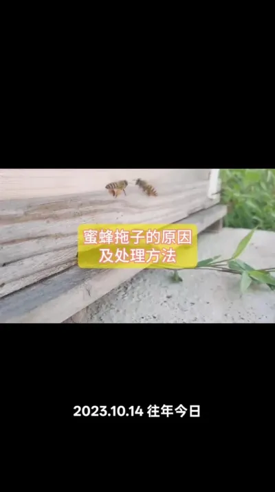 ۷ӵԵԭ#ũ #ũ #۷