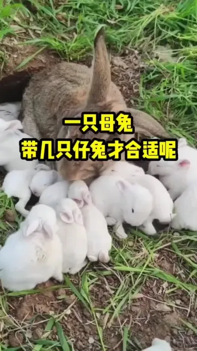 һֻĸôֻòź ###ֳ