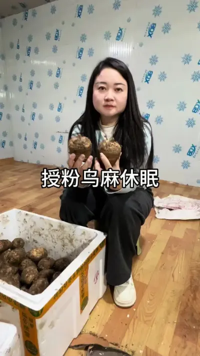 ڷ һȫ#ũݪֲ #ݪֲ #ݪֲ @DOU+С