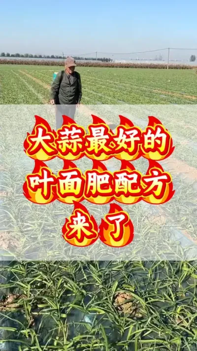 õҶ䷽#ݪֲ #Ƥ #߲ #ִ #