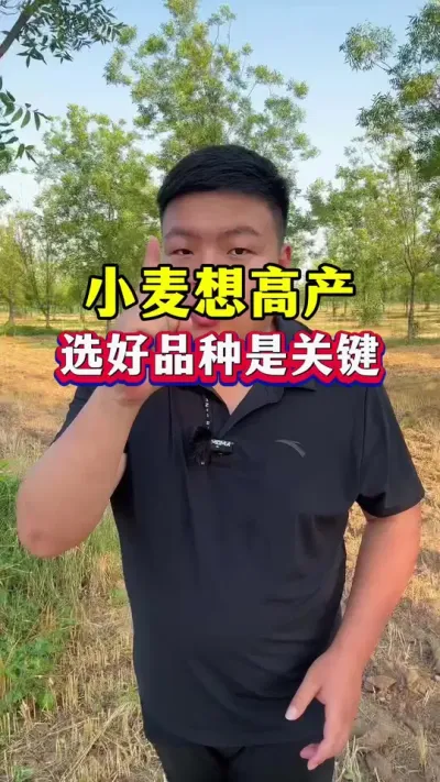 С����ҪĶ��1500��������ѡ��Ʒ����Ҫ���� #С��ݪֲ #С��Ʒ�� #�߲�С��Ʒ�� #��ֲ6��