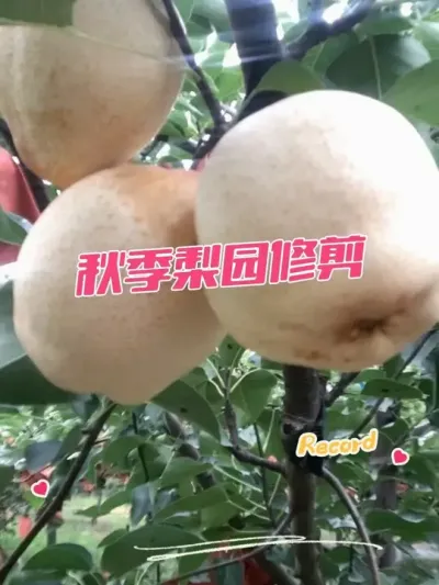 ＾ҲҪ޼ ֦֦Ϳ