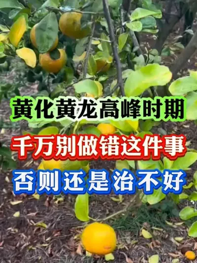 ԰ƻ#ƻ #ƻ #ݪֲ #԰