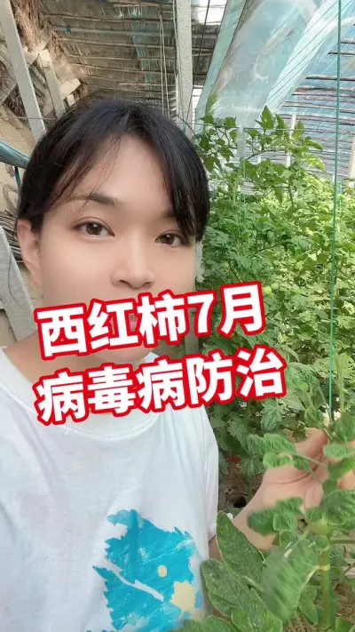 #������ݪֲ #������#����������#¶��������  �����µ� #EM��@����С����