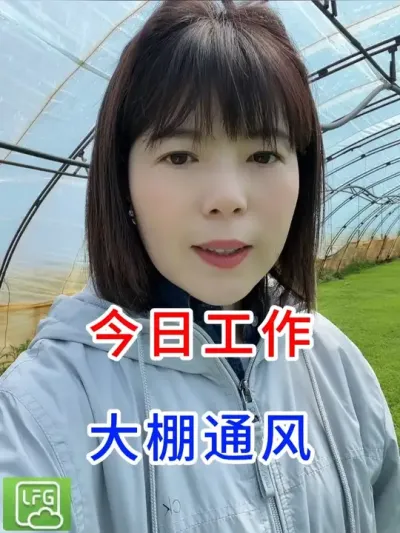 今日工作，大棚通风 #三农种植 #水稻种植 #分享农业知识帮农民增产增收 #寒地水稻种植