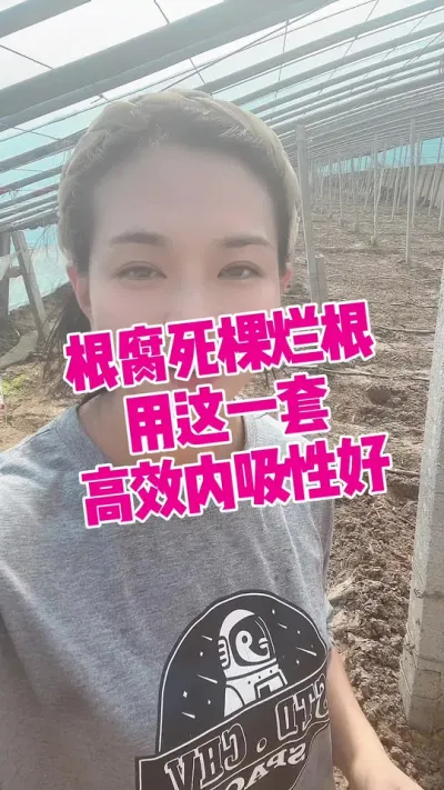 ##ø##ݪֲ#ݪֲ СƳµ ЧǺ@С