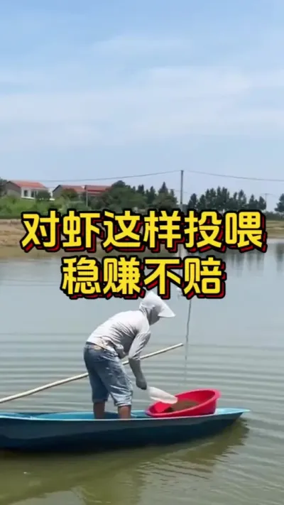 对虾这样投喂，稳赚不赔#水产人 #养虾人 #南美白对虾 #嘉骏集团 #嘉骏新水产
