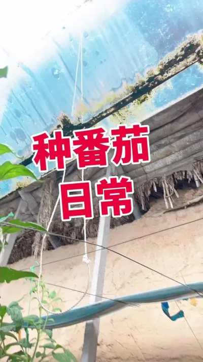 #ݪֲ##¶ ע ໥ѧϰ @С