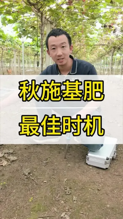 ʩʱ #ݪֲ #ũ2022 #õ #ʩ  #ݪֲ