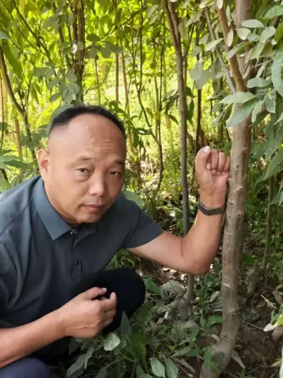 ũ½÷233ٷְٴȫṩָ#÷ݪֲ#ũ #ũշͬ#÷