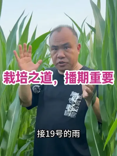 ݪֲ֮Ҫ ֱѧ˳ӦϣݿȺڶ#ũҵݪֲ