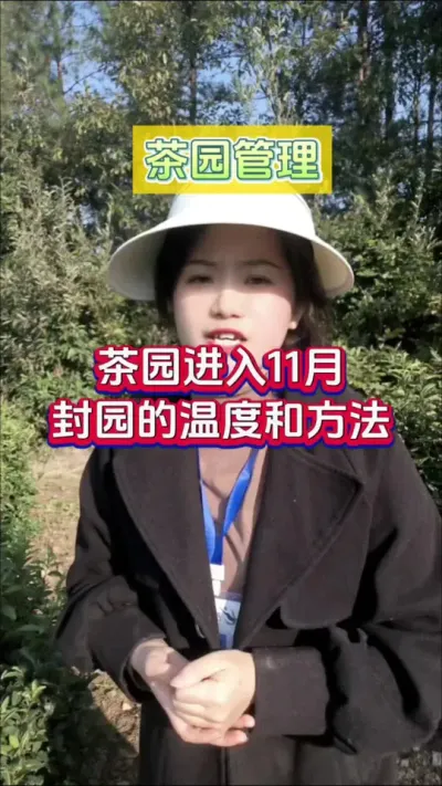 #ݪֲ ԰ʮһ¿Է԰ʱ¶԰ŻõĿЧ#԰ݪֲ #԰԰ʱ #԰԰ #ѿ