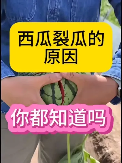#农业种植技术 #抖音助农扶农 #三农种植