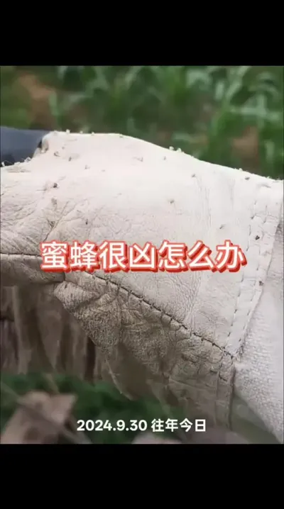 ۷̫ʲô#ũ #ũ #۷